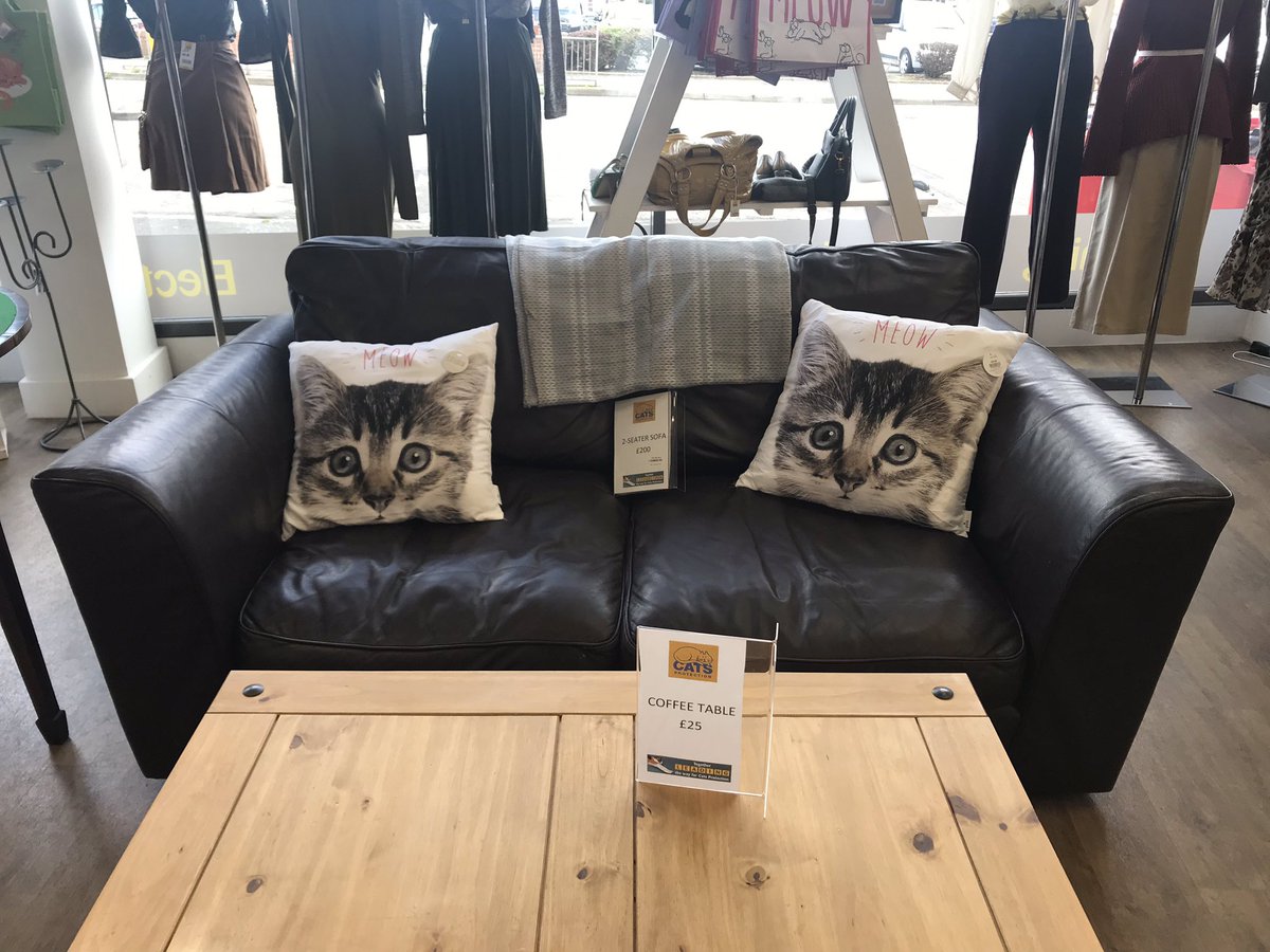 Cats Protection Crow Road tweet media