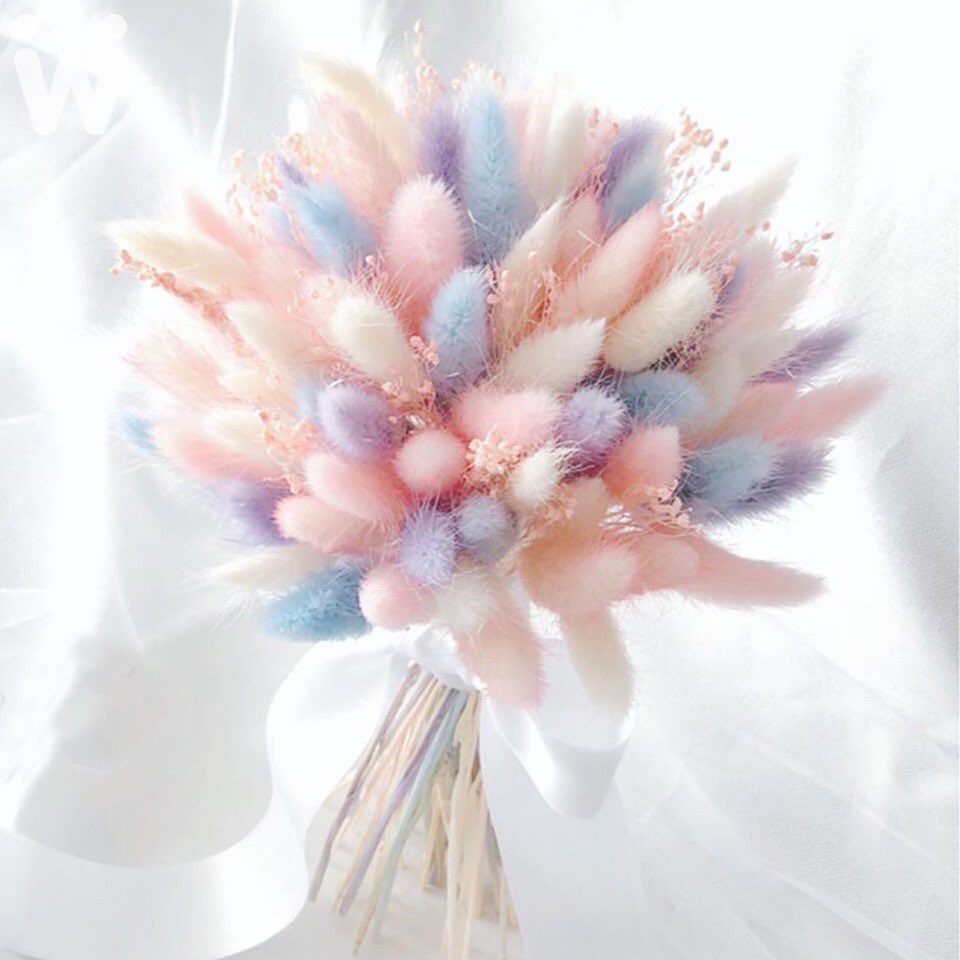 stitch_pololo's tweet photo. ช่อดอกหญ้าหางกระต่ายคิ้วท์ๆที่ฮิตกันเหลือเกินที่เกาหลี สีพาสเทลดีต่อใจมากมากกกก https://t.co/a44ho76O6C
