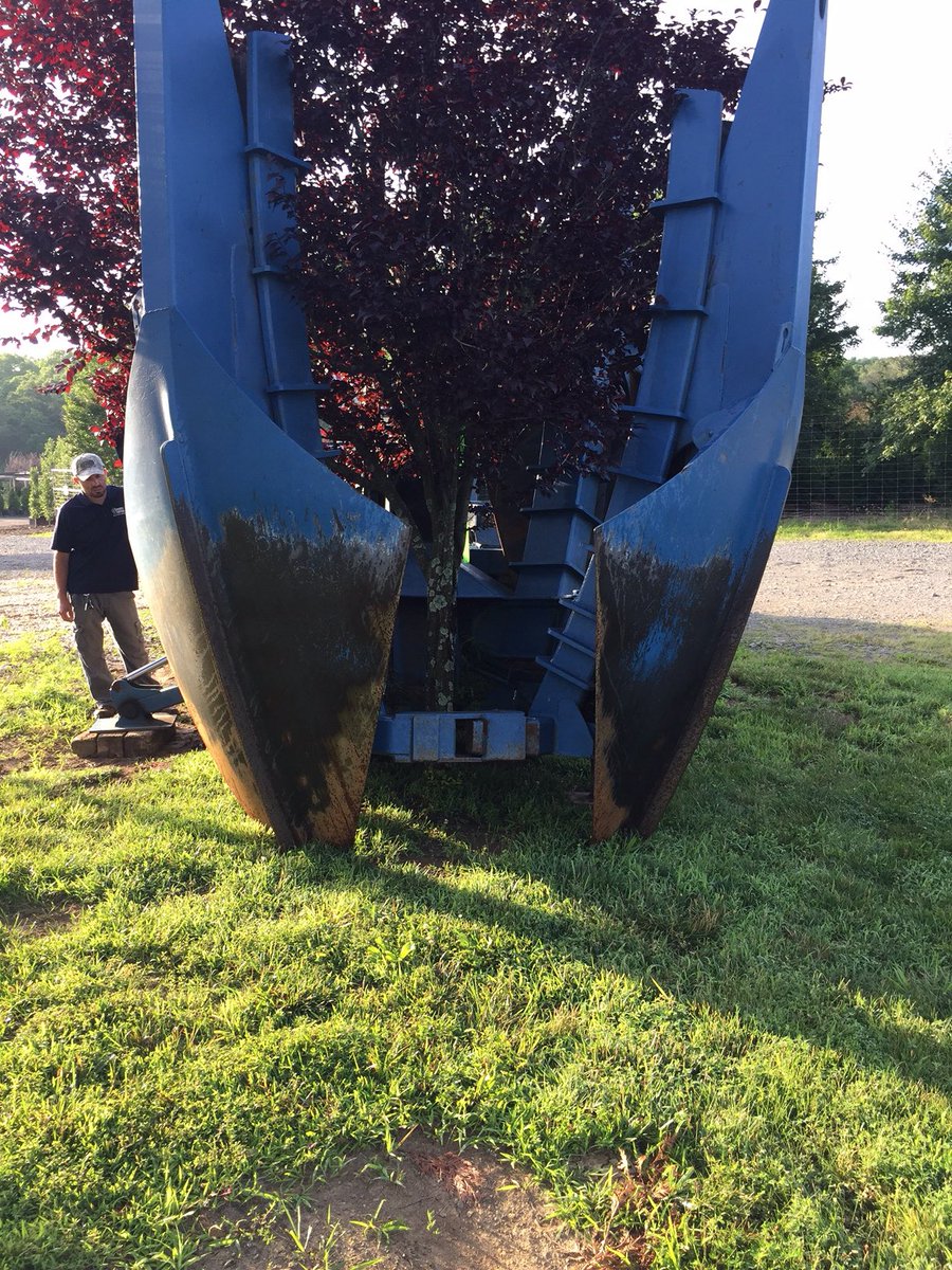 cswndan's tweet image. You need large trees ready to go for instant impact? We can help. This monster is going out today. Maybe you have a large tree you want to transplant. We have a 90” tree spade ready to assist. #largetrees #treespade