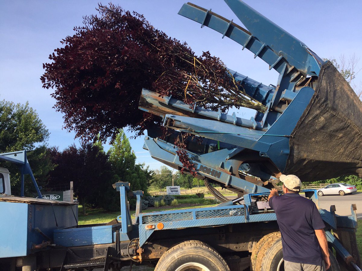 cswndan's tweet image. You need large trees ready to go for instant impact? We can help. This monster is going out today. Maybe you have a large tree you want to transplant. We have a 90” tree spade ready to assist. #largetrees #treespade