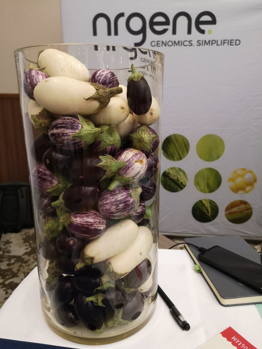 It has to be a great meeting when you get a jar of eggplants on display! #SOL2019 <a href="/ProhensJaime/">Jaime Prohens</a>