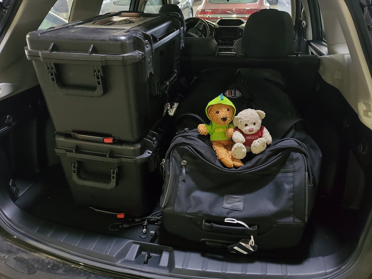BearBearRules's tweet image. I think we're ready.... good thing dad has us to help carry stuffs #buffbears