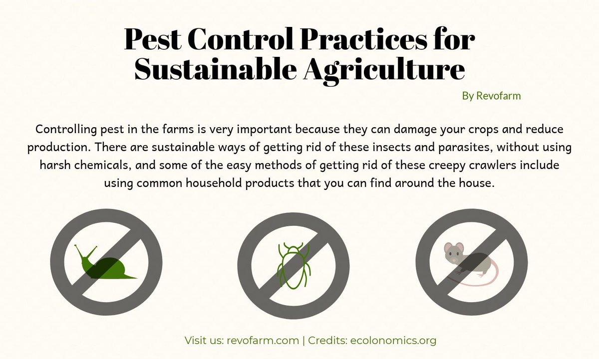 In order to achieve and maintain a healthy farm, various pest control practices must be applied.

Like and Follow for daily tips and tricks!

#Revofarm #agrinews #agtech #agronews #agriculture #pestcontrol #farmers #Jamaica