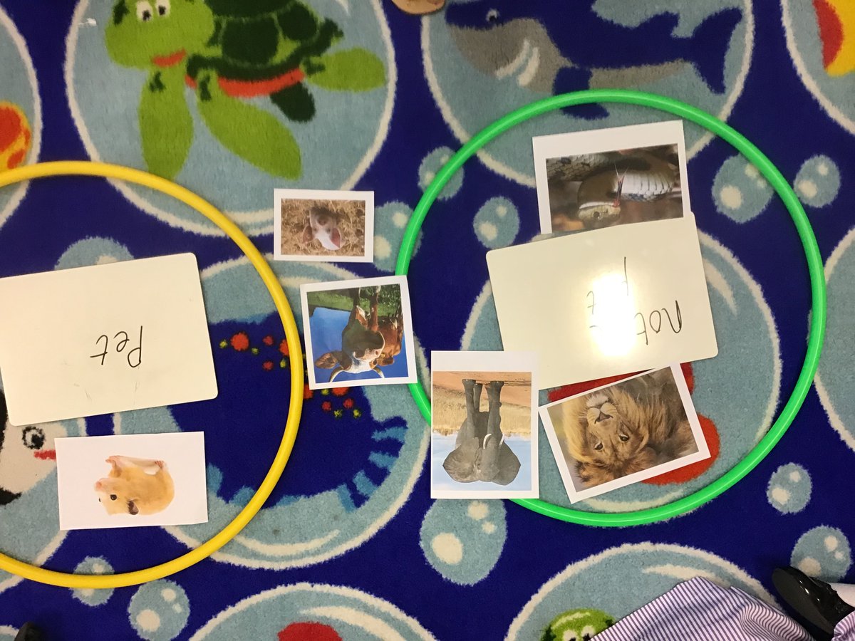 Year3SCPS's tweet photo. #SCPSyear3 have been philosophising about animals this afternoon.  What do you think @SCPSgdst? https://t.co/6dkYyQIgUV