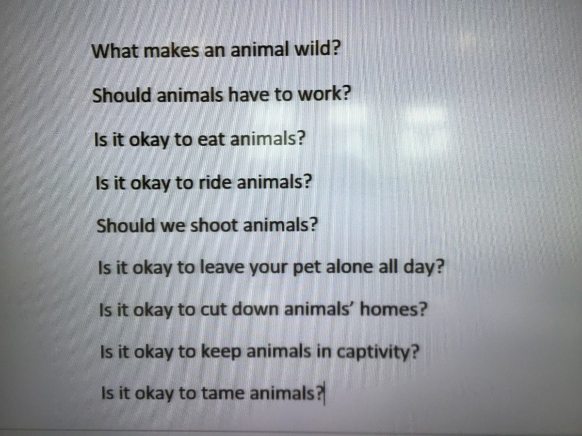 Year3SCPS's tweet photo. #SCPSyear3 have been philosophising about animals this afternoon.  What do you think @SCPSgdst? https://t.co/6dkYyQIgUV