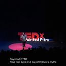 TEDxPointeàPitre tweet media