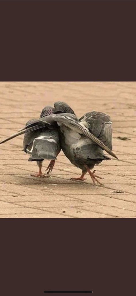 #العلاقه_تحتاج_الي