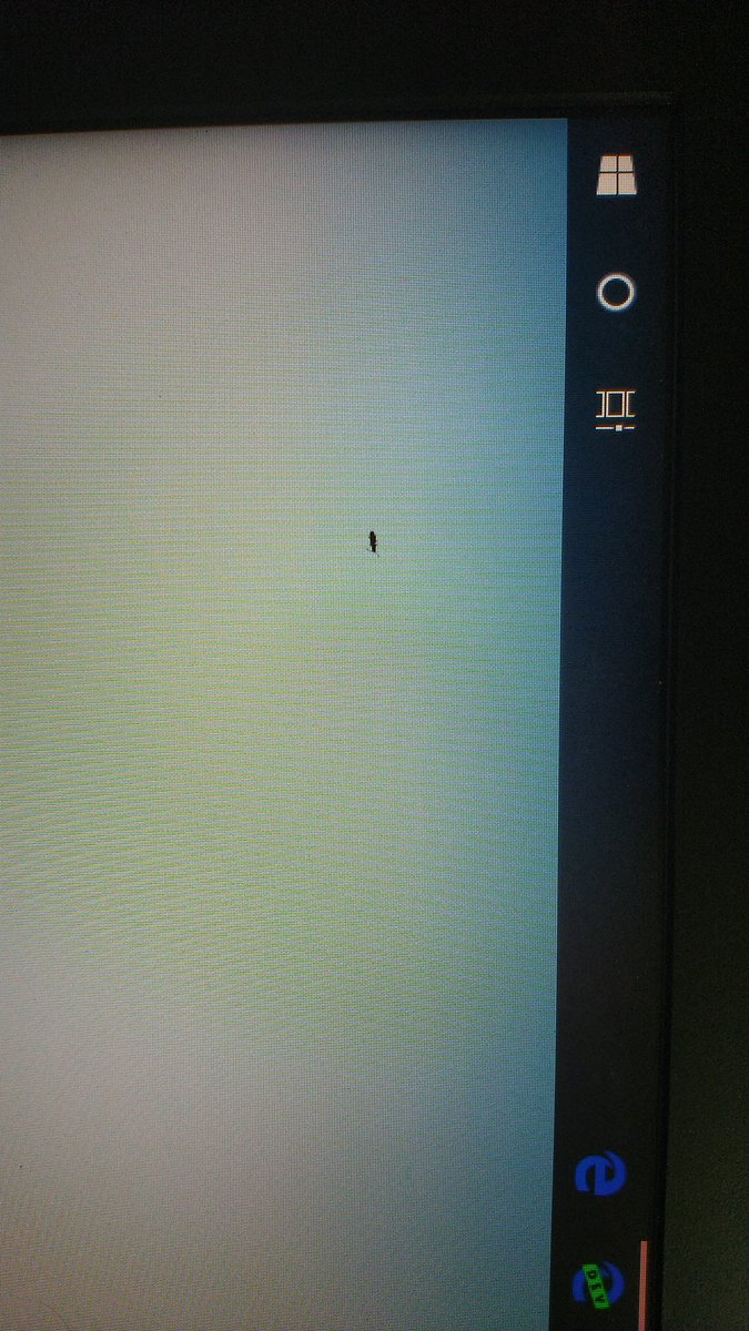 Layman806's tweet image. See that guys? That's a dead bug now inside my laptop screen.
A bug I can't seem to fix... Someone HELP! #bug #computerbug #bugbounty