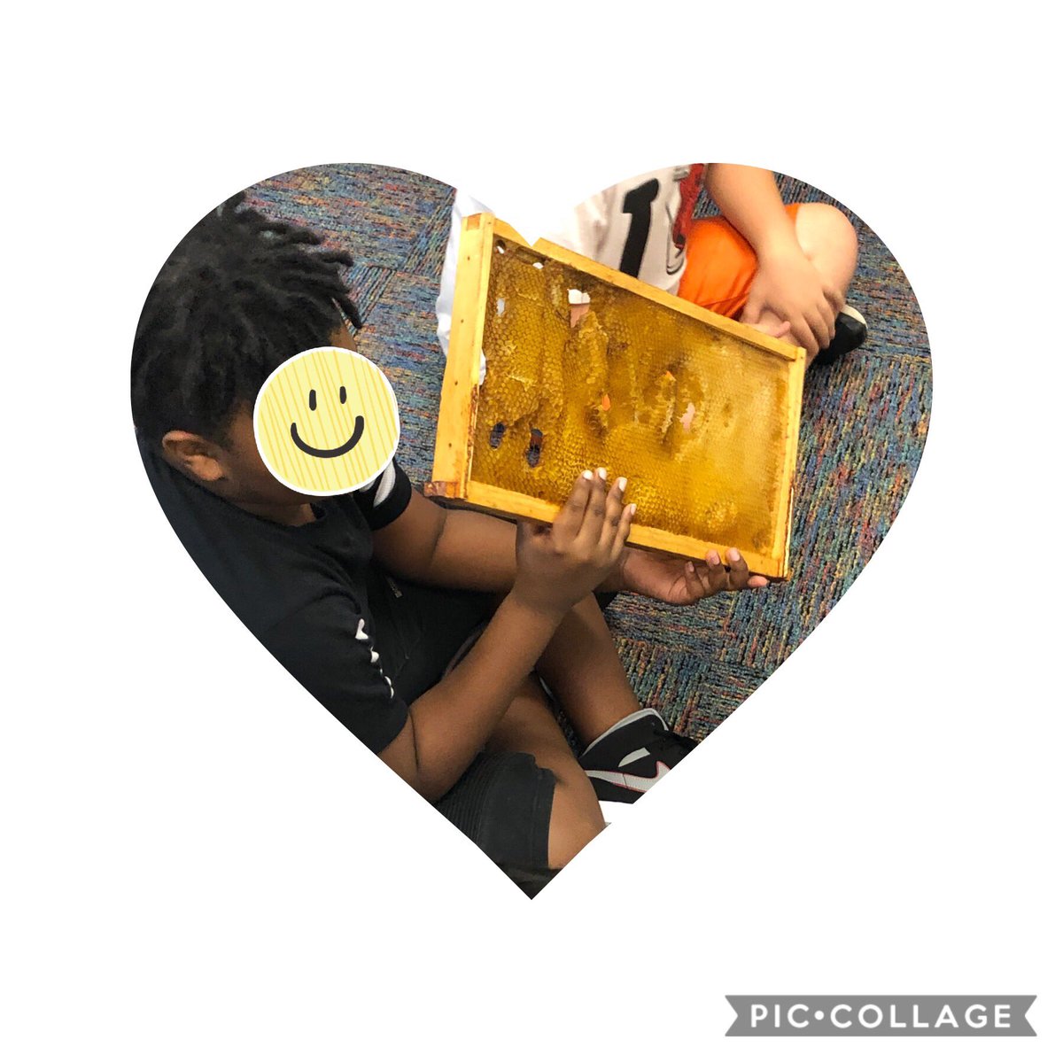 sarahstephensnc's tweet photo. Check out this honey comb our scholars are exploring in our Give Bees a Chance expedition! #LHESexpeditions @LHECMES #handsomlearning #newHEIGHTS https://t.co/jQp77oa4hO