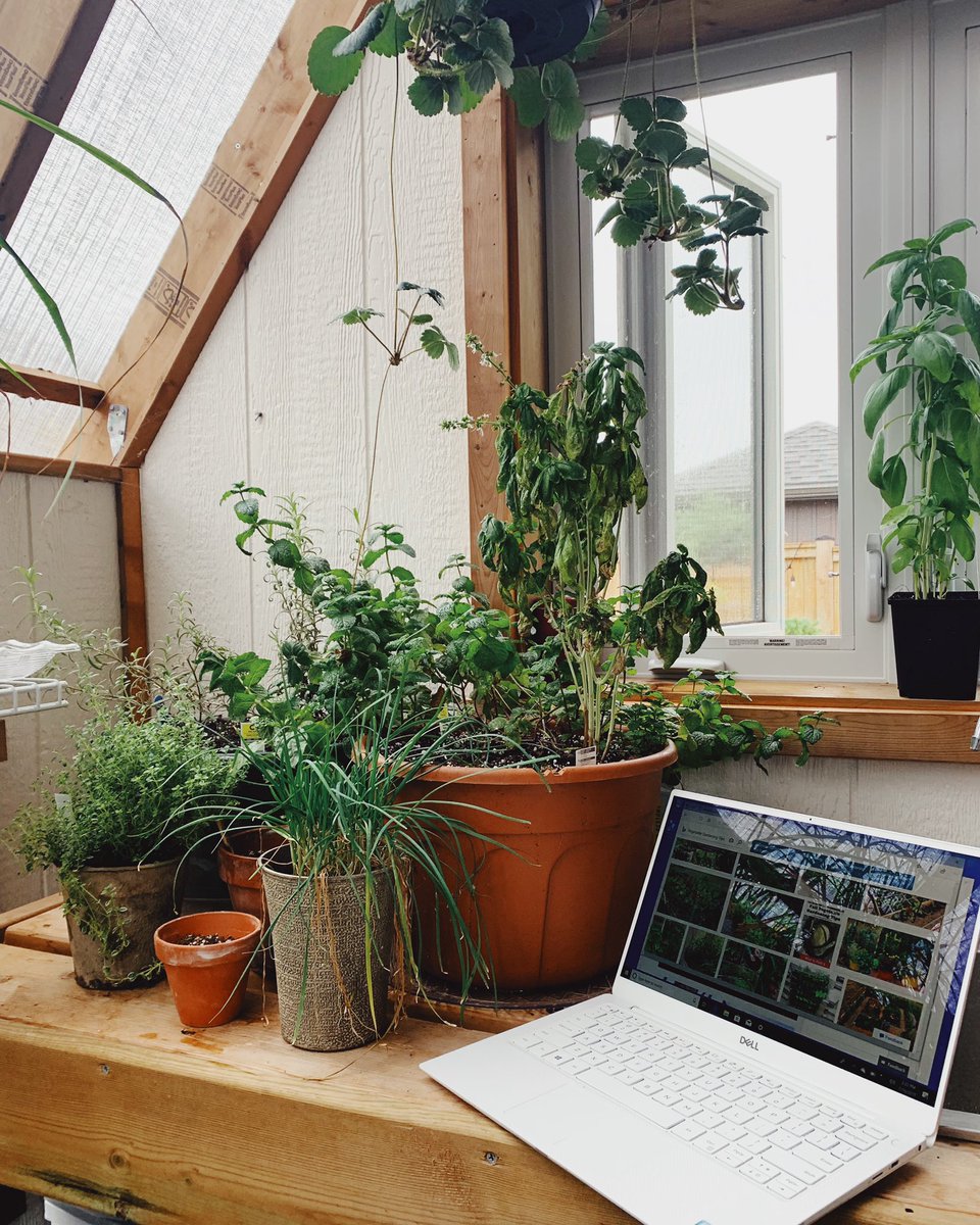 I can go visit dad &amp; stay connected to @visualcountry w/ my <a href="/Dell/">Dell Technologies</a>. W/ the <a href="/AmexBusiness/">American Express Business</a> Platinum Card &amp; the Shop Dell benefit, you can get up to $200 in statement credits annually for U.S. purchases with <a href="/Dell/">Dell Technologies</a>. Terms apply. Learn how at amex.co/amber. #DellSmallBiz