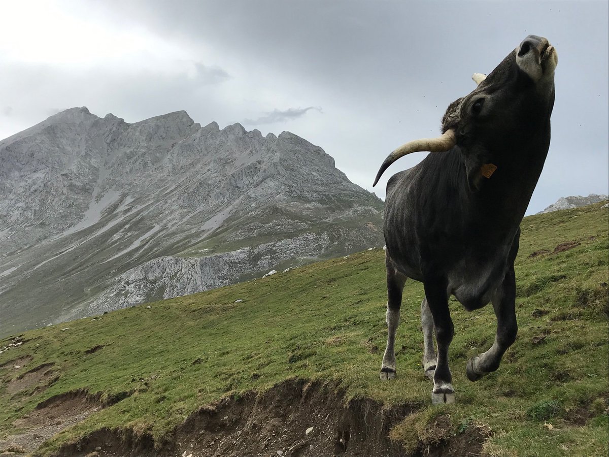 ------THE BIRTH OF VENUS tweet media