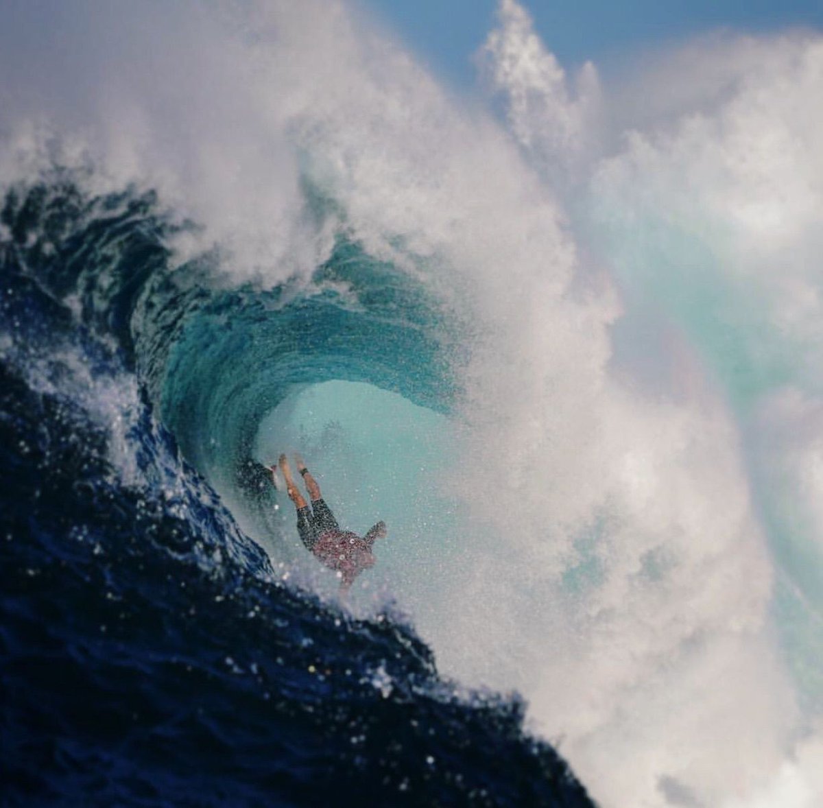 shextreme tweet media