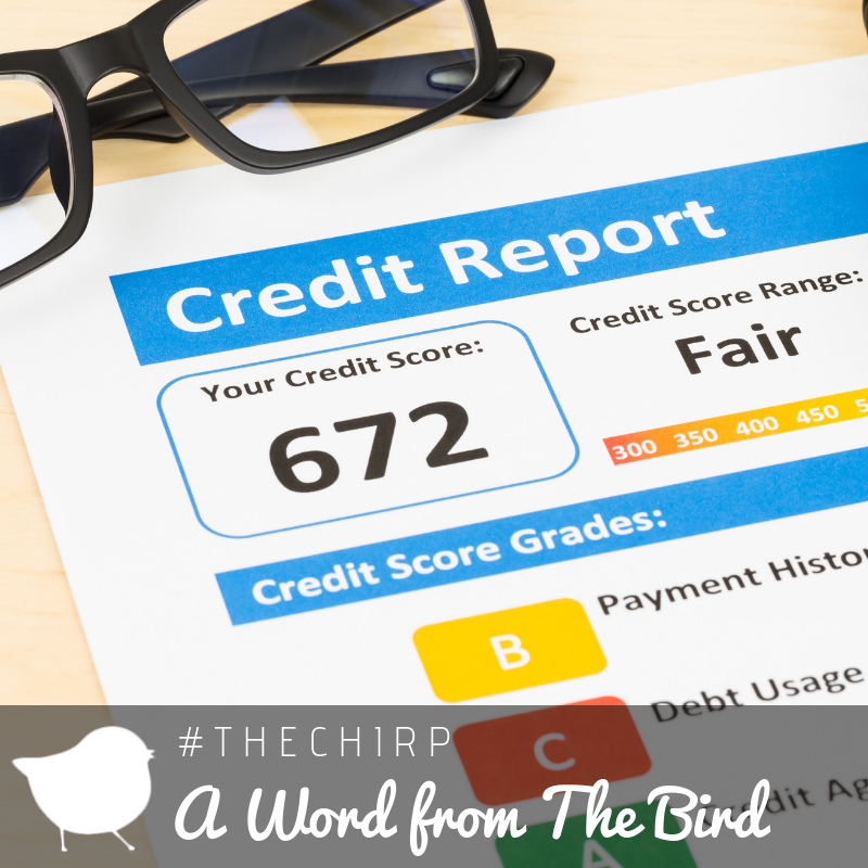 RedBranchRealty's tweet photo. Ever wonder 🤔💭 what credit score you need to buy💰 a 🏡? Here’s a good place to 📍start: https://t.co/LHtuHbNaGN 
.
.
.
.
.
.
#RedBranchRealty
#TheNest
#TheChirp
#AWordFromTheBird
#BirdsOfAFeather
#HomeBuying
#HouseShopping https://t.co/X7dcAmyNlt