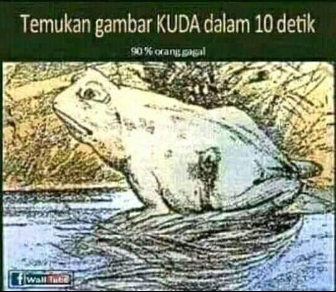 nasehatbunda03's tweet image. Yang bisa kurang dari 10 detik bisa melihat kuda berrti kalian orang yg bisa fokus,,,