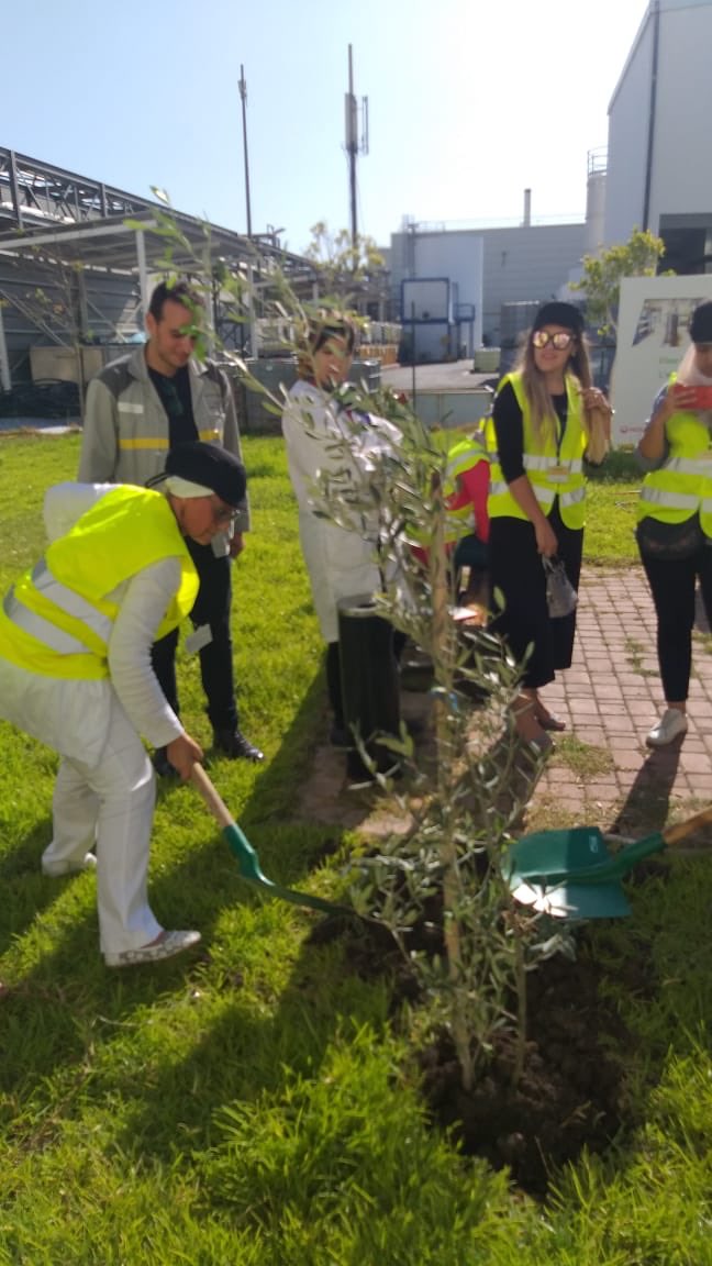 AMED_JDD's tweet photo. 2/2 La visite a été couronnée par la plantation d’un arbre symbolique de partenariat durable ! 
Un grand Merci à l’équipe Environnement et à l’équipe Communication pour leur magnifique accueil et disponibilité. 
#AMED #EconomieCirculaire  @renaultmaroc https://t.co/83G3VbiBYF