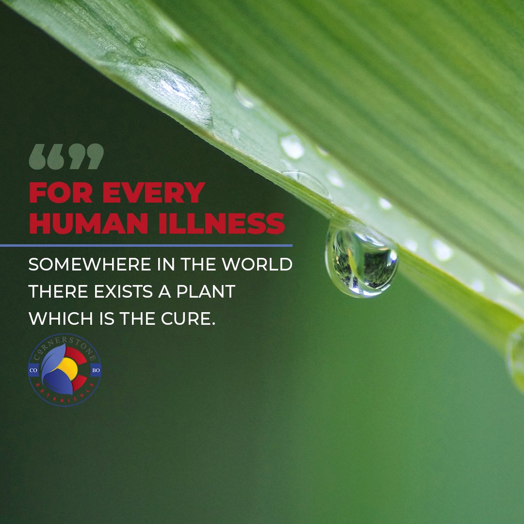 CornerstoneCBD's tweet photo. Changing lives one drop at a time. https://t.co/DfTkXnULRU
