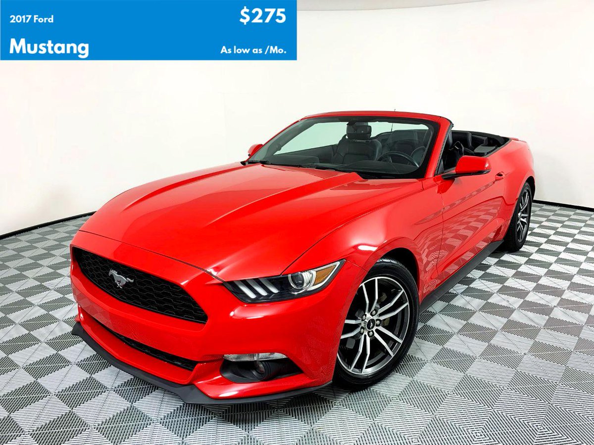 Check out some of our latest arrivals! Now available for month-to-month subscriptions and return it at any time. Reserve yours now.
lmpsubscriptions.com/inventory/?q=
#DodgeSubscriptions #FordSubscriptions #MustangSubscriptions #NissanSubscriptions #VehicleSubscriptions