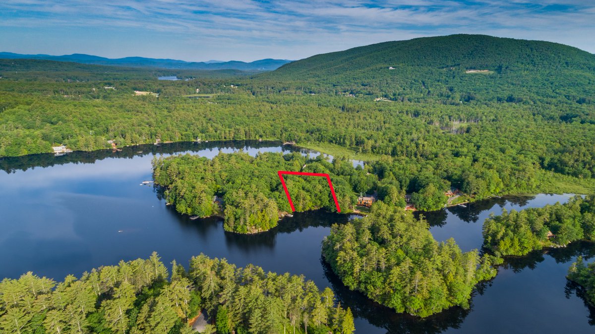 Brie Stephens- Lake Life Realty tweet media