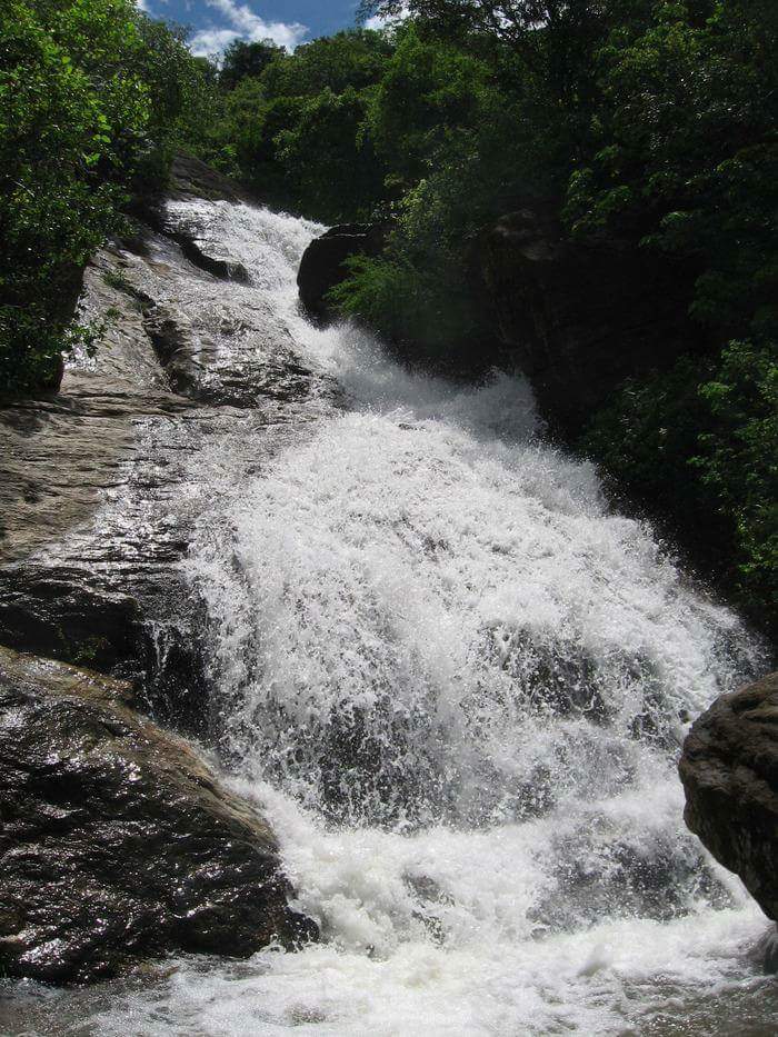 Large amount of Rain in the mountains creates spectacular water flow beauty of panagudi

#photos #nature #