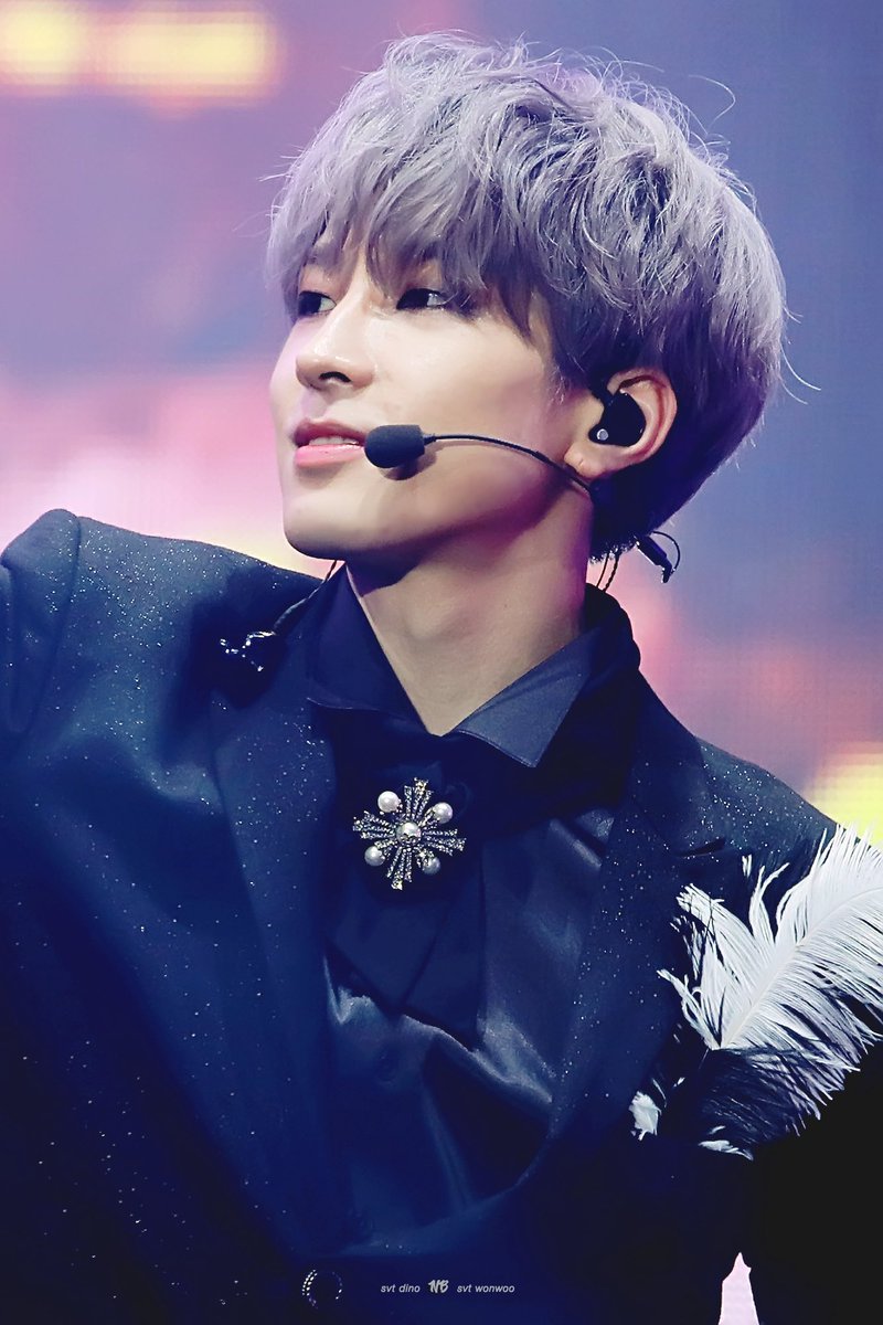 wwdn_1711's tweet photo. 190916 AN ODE 

MY LOVE 💜💙

#세븐틴 #SEVENTEEN
#원우 #전원우 #WONWOO
#디노 #이찬 #DINO https://t.co/3wErAXih3i