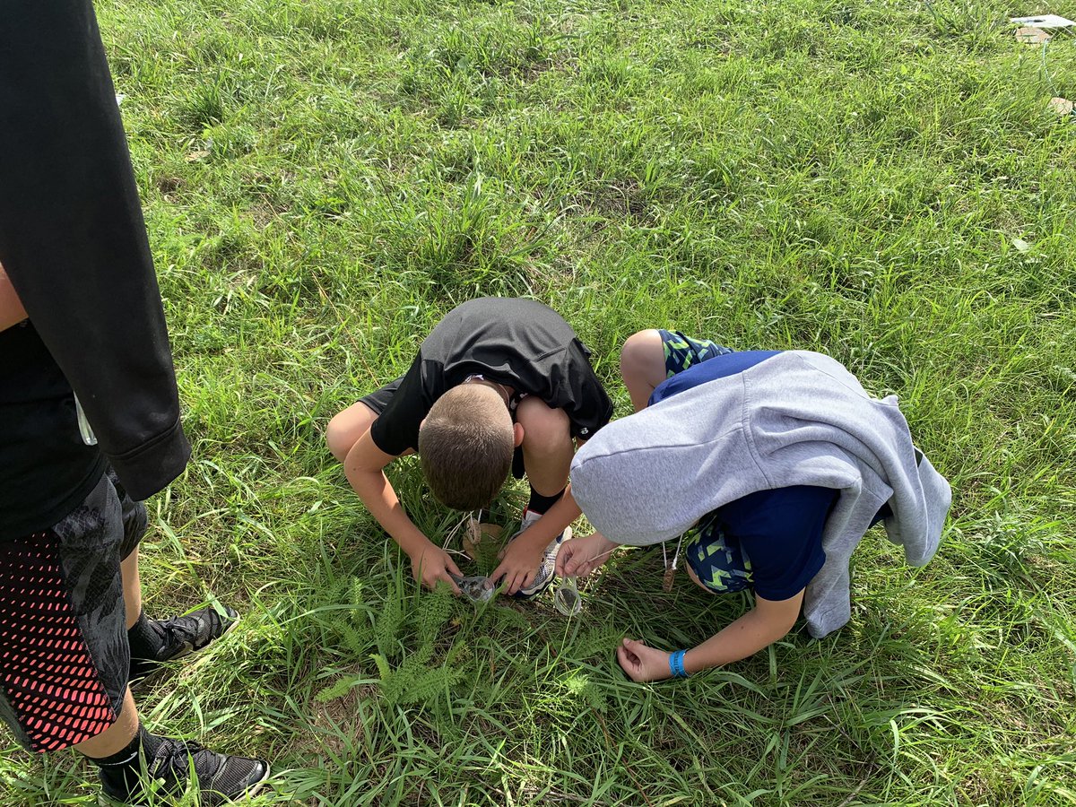 erin_mumma's tweet photo. Day 1 Earthkeepers at Byron Forest Preserve. https://t.co/WHAvULw2Qf