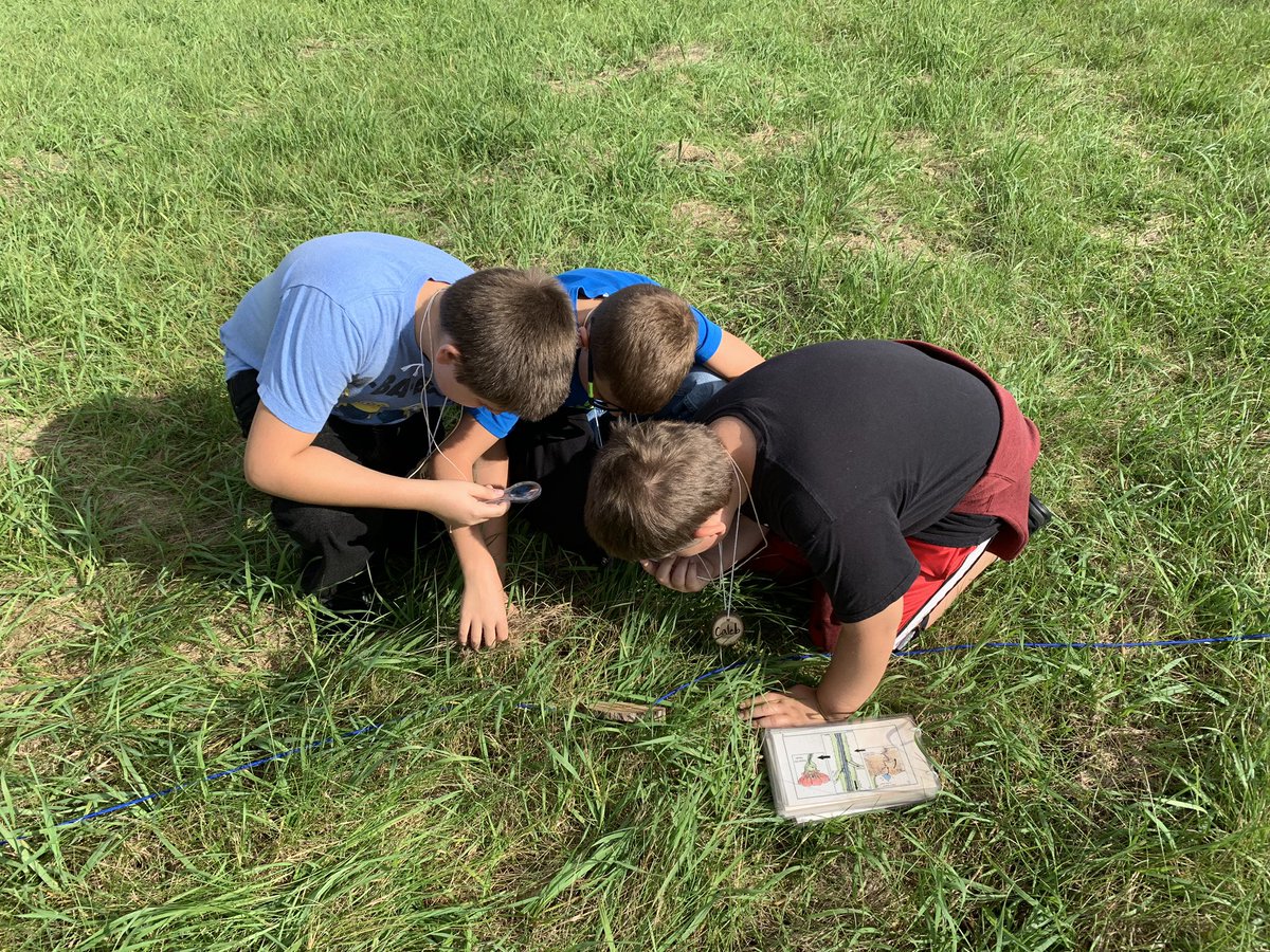 erin_mumma's tweet photo. Day 1 Earthkeepers at Byron Forest Preserve. https://t.co/WHAvULw2Qf
