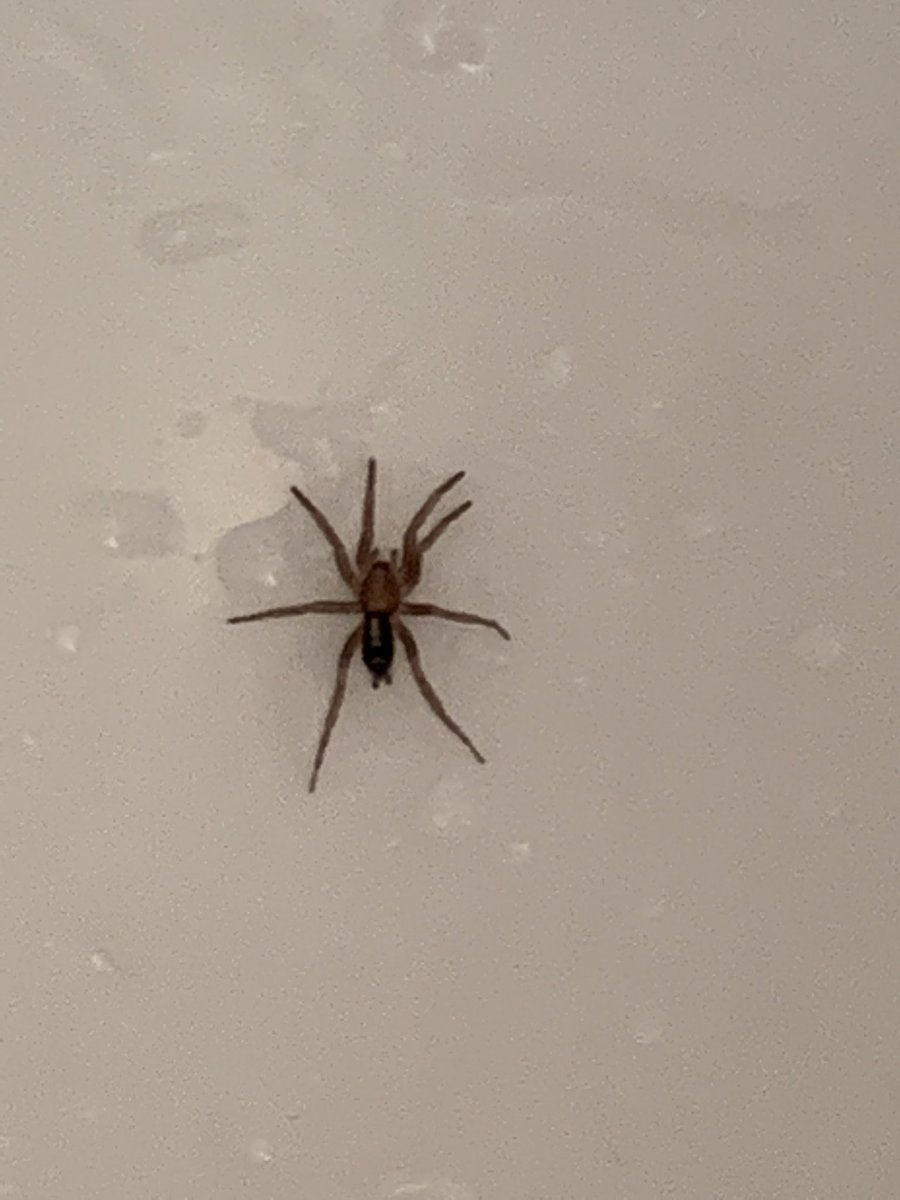 JRMUroOnc tweet media