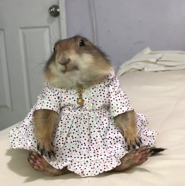 im sorry that i can’t be her