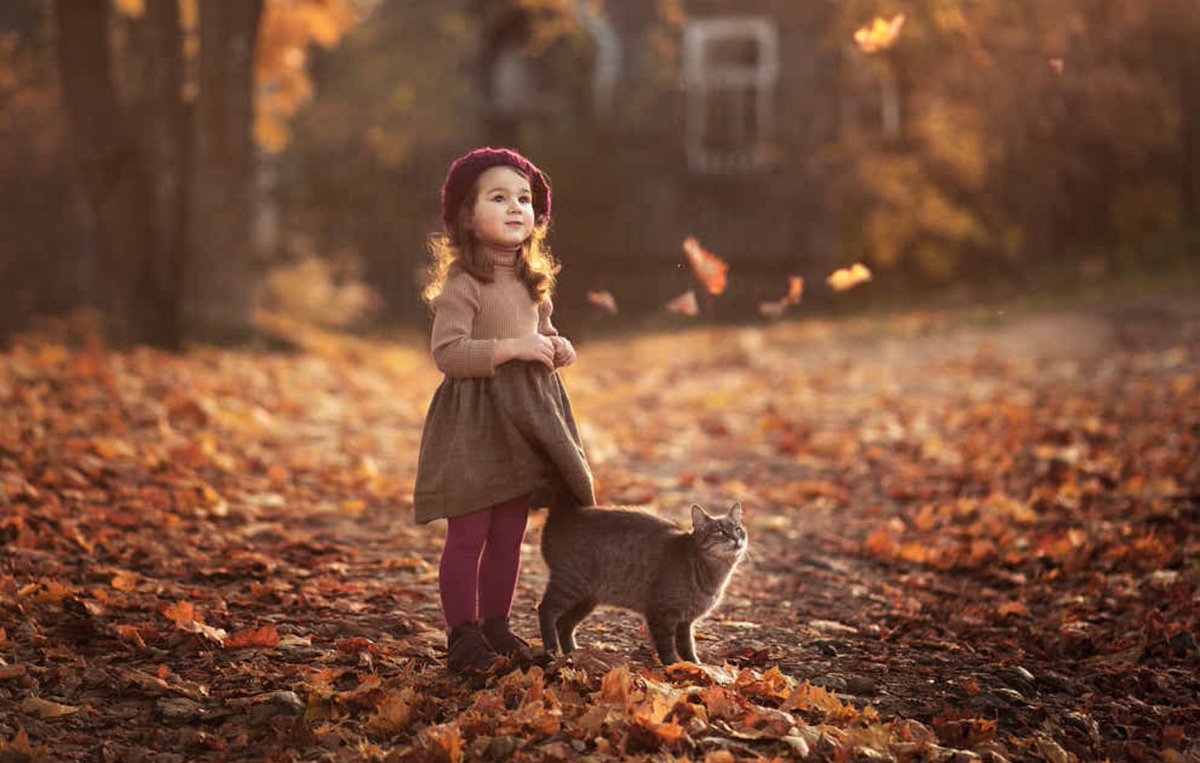 ramblingsloa's tweet photo. Autum shows us how beautiful it is to let things go 🍁

Pic Tatiana Kudrova https://t.co/DedTPLlINg