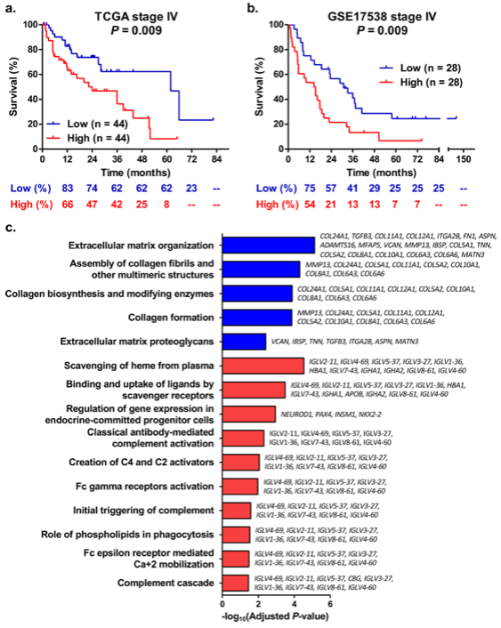 ensembl's tweet photo. How does #genetic background and #tumour expression level of the RPL28 #gene affect survival of metastatic #colorectalcancer patients treated with the FOLFIRI regimen?
#UsingEnsembl

@SciReports @cguillemette
https://t.co/UDPuUOhihV https://t.co/IEdSoKor7D