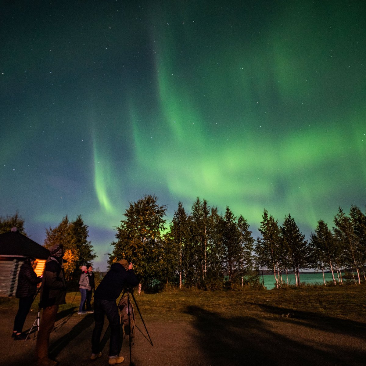 Beyond_Arctic's tweet photo. The beginning of #aurora season has been great in #rovaniemi #lapland Last night our #aurorahunting tour captured again amazing #northernlights ! @VisitRovaniemi @OurFinland @OnlyInLapland https://t.co/7DL17OEuqF
