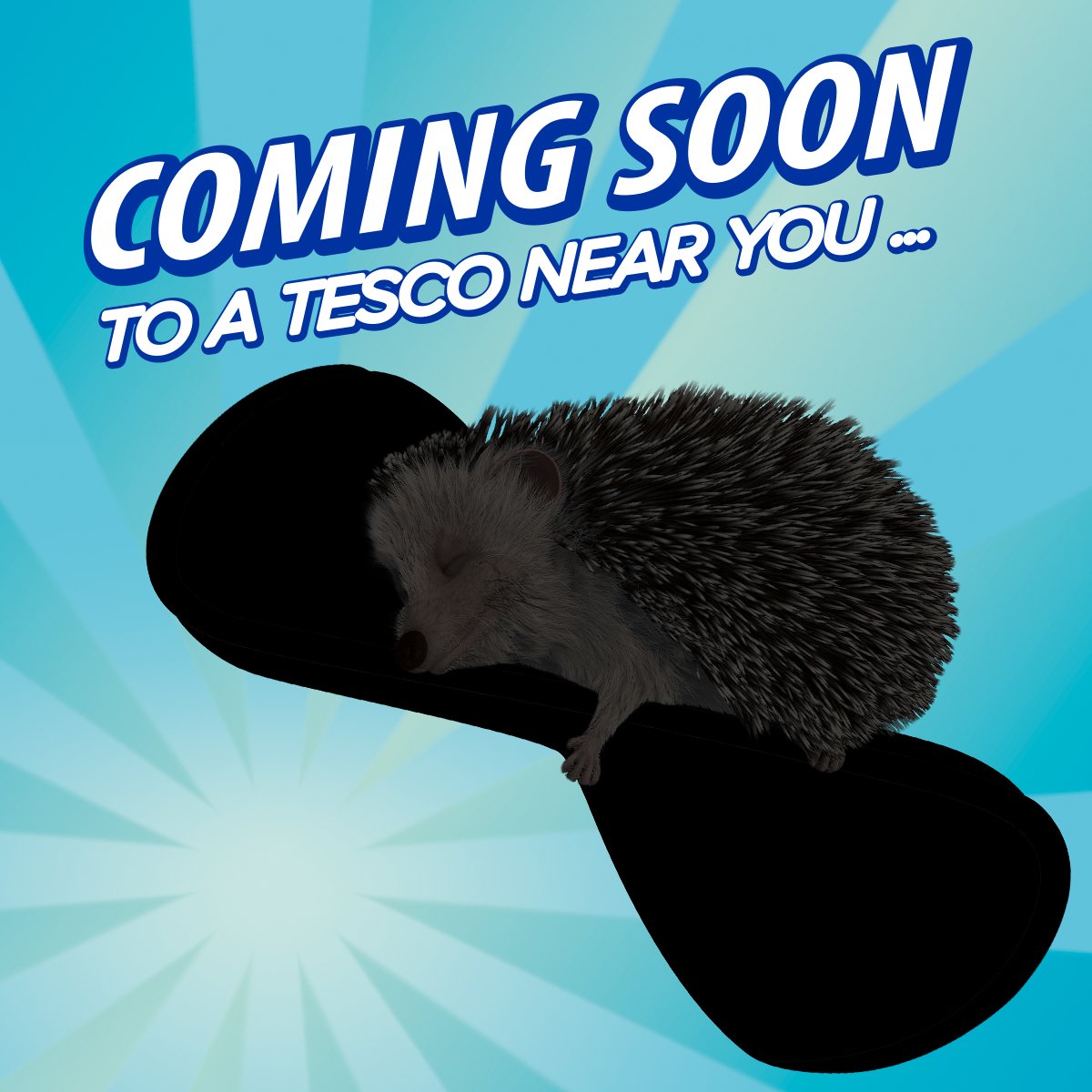 Spontex UK on Twitter "NEW PRODUCT ALERT! We're launching something