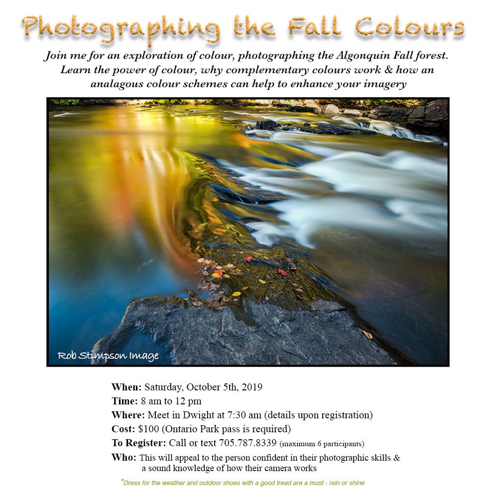rob_stimpson's tweet photo. I will be running a fall colour #PhotoWorkshop on Saturday Oct 5th from 8 am to 12 pm. Details posted below. I would like to get into #AlgonquinProvPark early before the crowds - meeting early in #Dwight so we can get to a few of the choice locations in the Park. https://t.co/xupTWXVaf0