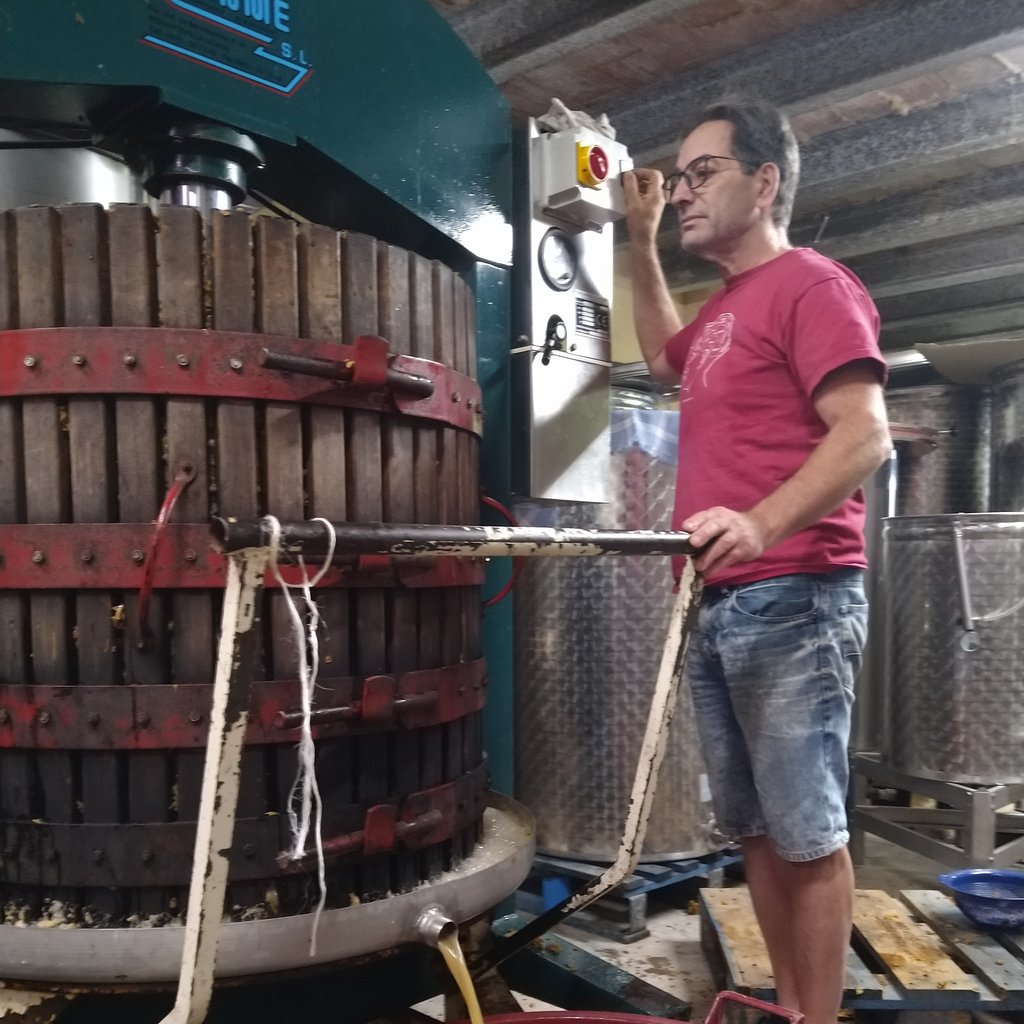fermentationsTO's tweet photo. What a great day, pressing Grenache blanc, macsbeo and Muscat for our "Els Àngels" blend. Still buying wine retail? #rethinkyourdrink #makewinewithus #winetips #torontowinenews https://t.co/0waaPjuF3m