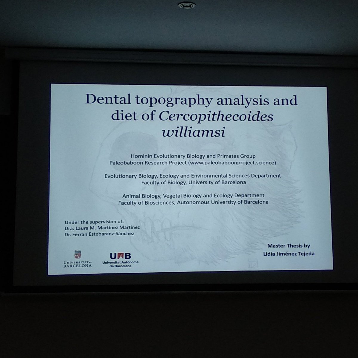 MorphoLabBCN's tweet image. Today our labmate Lidia Jiménez has presented her Final Master Project called "Dental topography analysis and diet of Cercopithecoides williamsi". You did it great! Congrats!🥳🤗 @AntroBiologica @BiologiaUB @UABBarcelona 

#primates #cercopithecoidea #dentaltopography
