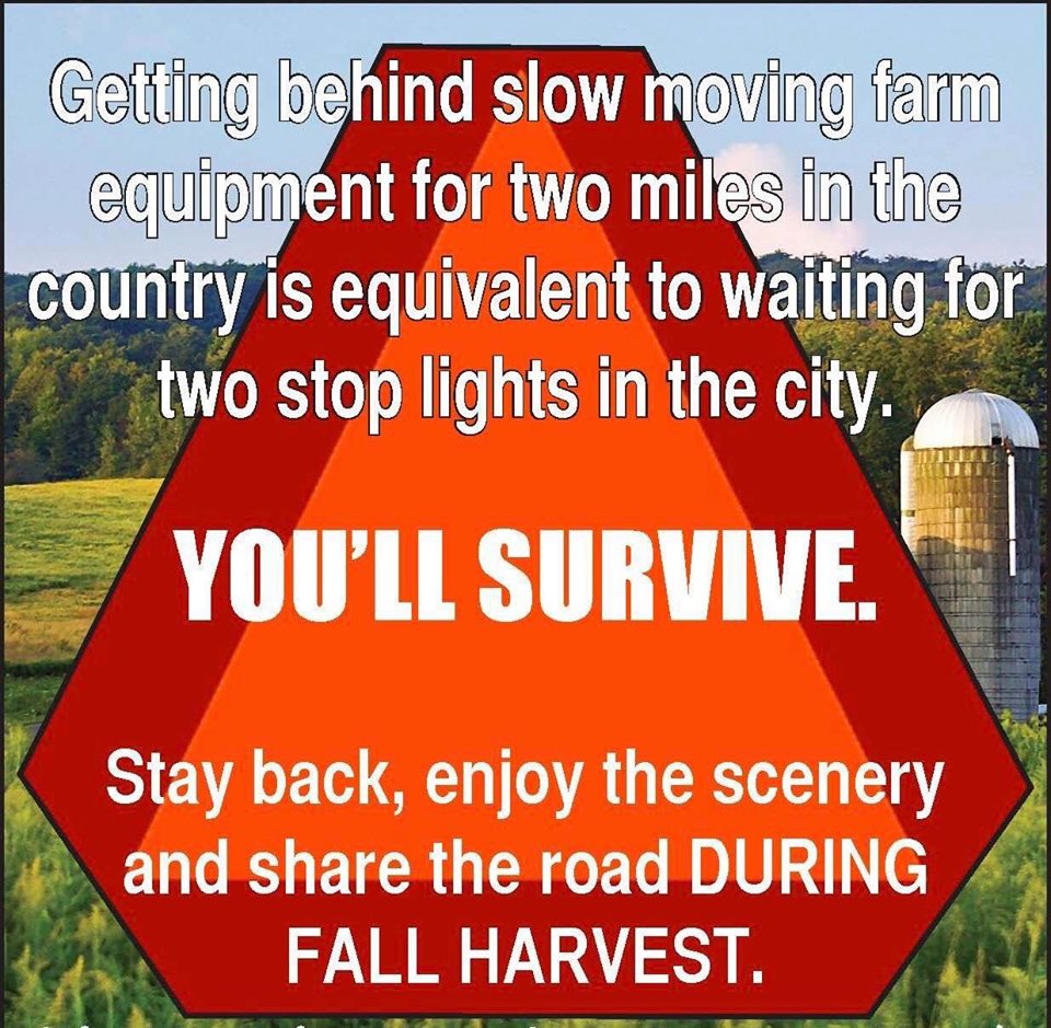 Kerri Copello tweet media