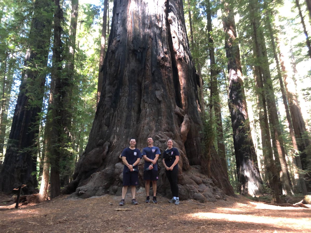 HumboldtBayFire's tweet photo. Have you been wondering about our crews out on coverage?
Here's a sneak peak from their time in Weott, getting in a morning workout in the Avenue of the Giants, Burlington Campground. #redwoods #avenueofthegiants #weott #calfire #calfirehuu #morningworkout #pt #coverage https://t.co/q1J385yi41