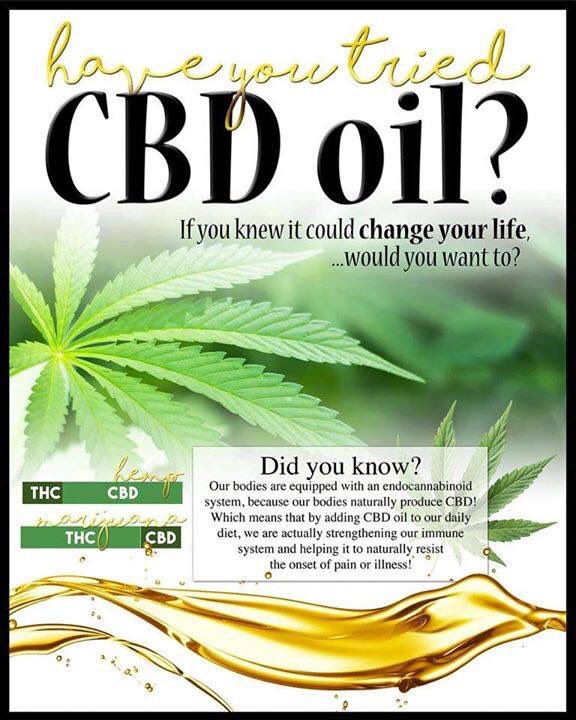 TheCbdHangOut's tweet photo. Have you tried CBD oil?
#healthandhappiness #thecbdhangout #globalvisioncast https://t.co/s7i15gkEuR
