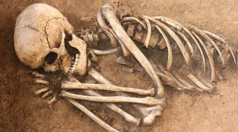 VTVcanal8's tweet photo. Estudio revela que el cuerpo humano se mueve aún tras la muerte

#AClasesConAlegría

https://t.co/yFWtrNwGW3 https://t.co/6sS9eLgZ4w