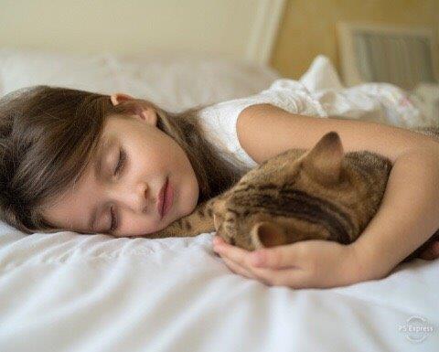 FavoriteTickets's tweet image. Sera is an adjustable blanket that promotes relaxation, restorative sleep &amp;amp; stress reduction. Register today for an #EarlyBird kck.st/2NoVX0J @kickstarter