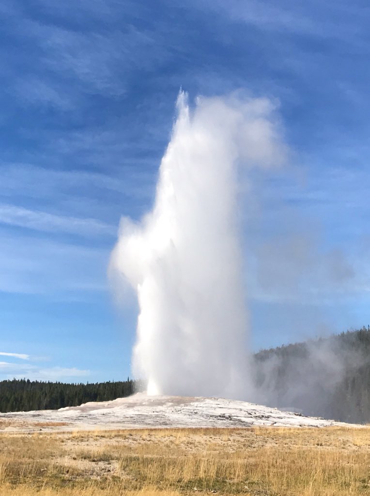always5star's tweet photo. “In every walk with nature one receives far more than he seeks.”
-John Muir 
Have you been to @YellowstoneNPS? It’s an absolutely gorgeous #nationalpark that I (Brittany) explored after #TBEX in #VisitBillings #Montana! If you haven’t been you must! 😊 #MondayMotivation #Travel https://t.co/LtmWsS7cWB