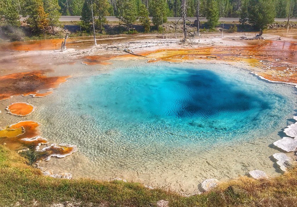always5star's tweet photo. “In every walk with nature one receives far more than he seeks.”
-John Muir 
Have you been to @YellowstoneNPS? It’s an absolutely gorgeous #nationalpark that I (Brittany) explored after #TBEX in #VisitBillings #Montana! If you haven’t been you must! 😊 #MondayMotivation #Travel https://t.co/LtmWsS7cWB