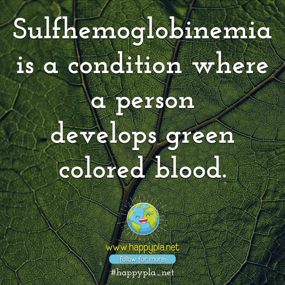 happypla_net's tweet photo. Sulfhemoglobinemia is a condition where a person develops green colored blood.

#happypla_net #Sulfhemoglobinemia #anomaly #blood #gore #bloody #medicalcondition #problem #glitch #physician #medicalaesthetics #medicalstudents #medicalmemes #medicalresearch #sciencefacts #facts https://t.co/EOlLWYM7QK
