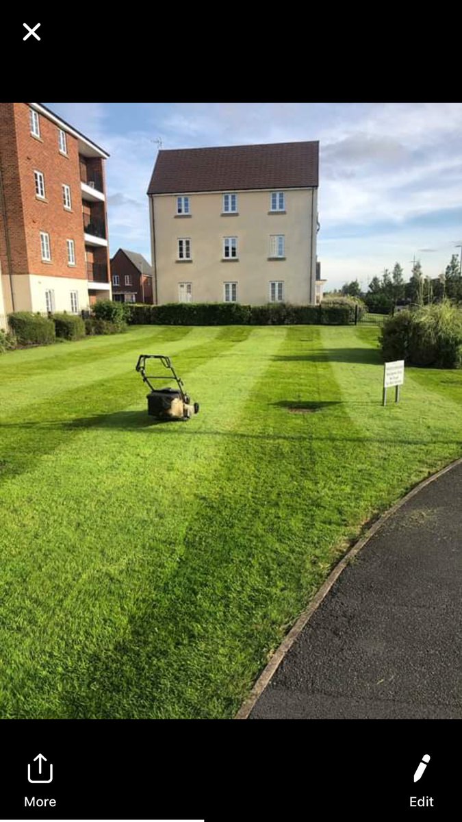 The lawns are looking on point as this ⁦@PremierEstates_⁩ managed development!