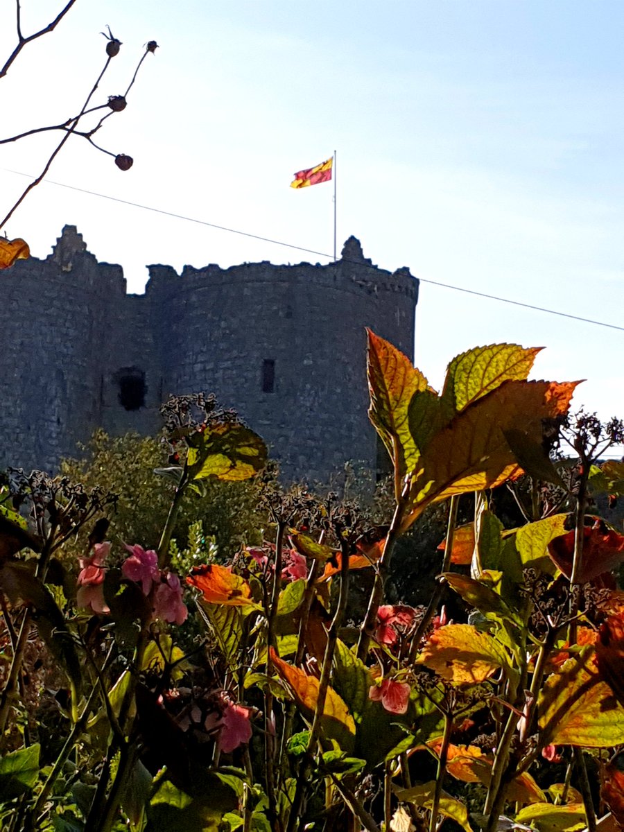 Is there anywhere better than #Harlech to spend #OwainGlyndwrDay #IndyWales #YesCymru