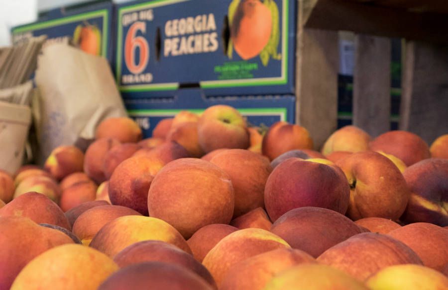Meeratweets's tweet photo. In honor of #CoveringClimateNow, I'll be reposting pieces from my #FindingMiddleGround series for @insideclimate, exploring perceptions of #climatechange among conservative Americas. First up: a failed #peach harvest in #Georgia. @PrincetonPEI @sejorg @ajc https://t.co/xEIcno5f70 https://t.co/uFBYxeDR9f