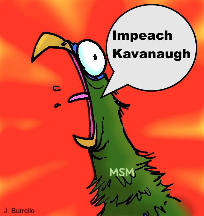 NJMagaVoice's tweet image. @realDonaldTrump 

#Kavanaugh #KavanaughImpeachment