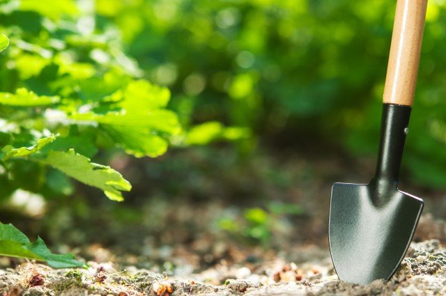 WAUTC's tweet photo. Planning a last-minute summer yard project? Make sure and #Call811 at least two business days prior to any digging project. Underground utility lines are everywhere! #CBYD #Call811 #DigSafety https://t.co/I77dOmyrgD