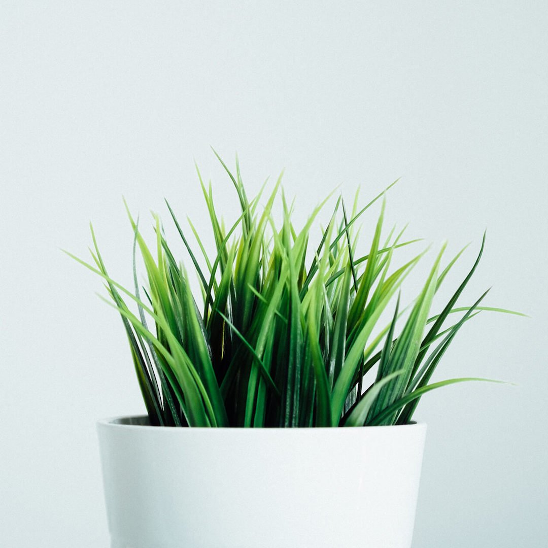 unityworkspace's tweet photo. We're always looking for ways to make the Unity offices more eco-friendly and sustainable and we know our clients are too. With that in mind, we've put together a few tips to follow and make your workplace greener πβ»β
Read here: https://t.co/7RYuEWKZJI #UNITY #UnityWorking https://t.co/FdP8eVne1A