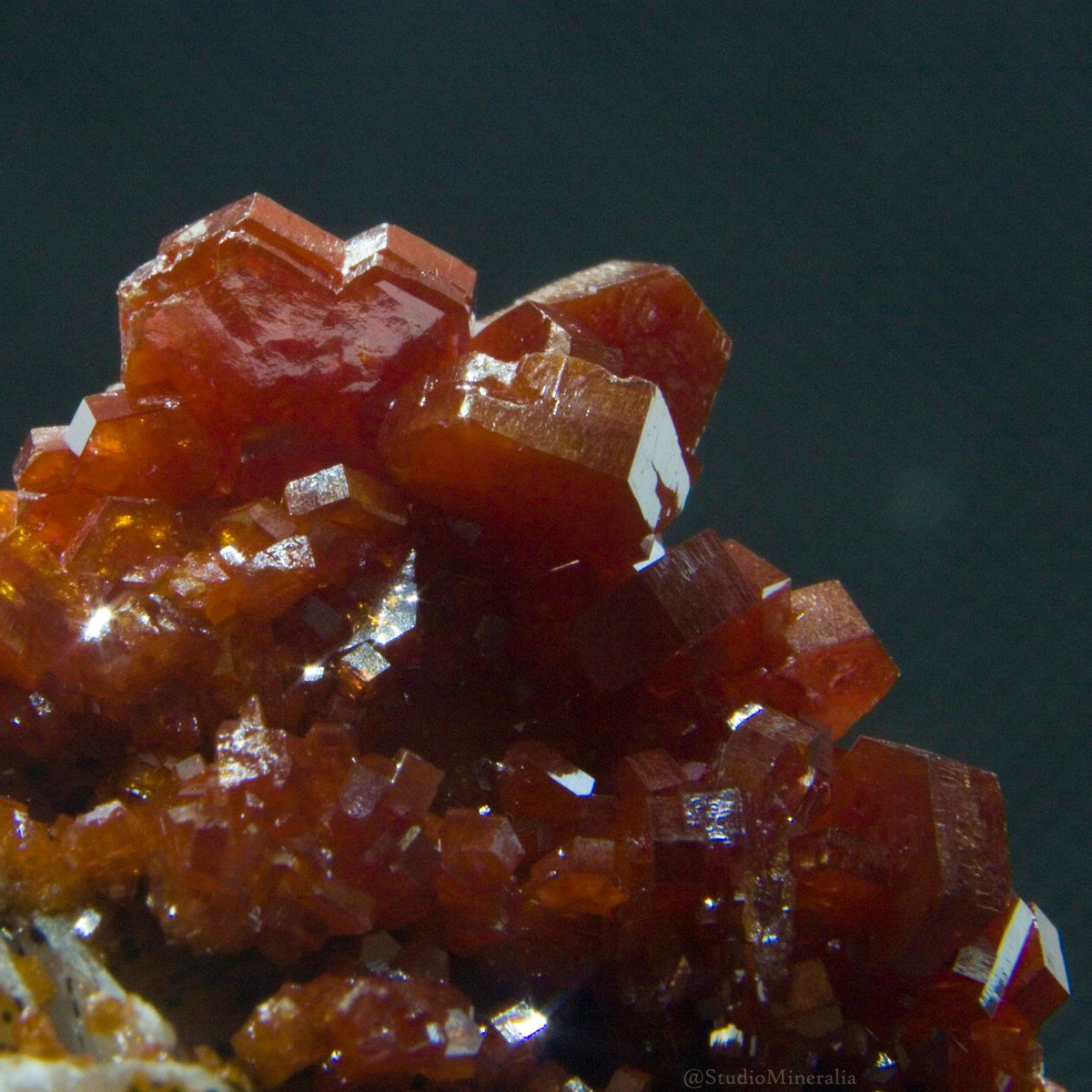 StudioMineralia's tweet photo. Vanadinite on Barite from #Morocco. Vanadinite is heavy, both #conceptually & as #translucent minerals go. @StoneStonesRock #Earth #Artgallery #mineralspecimen #closeup #macro #mineral #Minerals #geology #science #crystal #naturephotography #manualfocus #mineralien #rare #rocks https://t.co/SJdr1djgyO